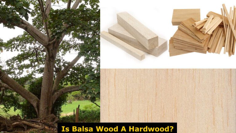 is-balsa-wood-a-hardwood-woodworkmag-com