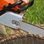 Resawing wood log with a new chain bar.