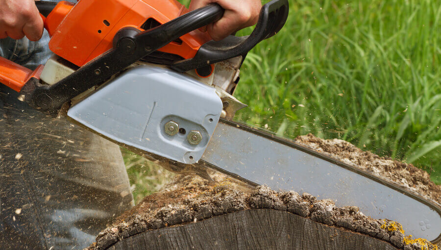Resawing wood log with a new chain bar.